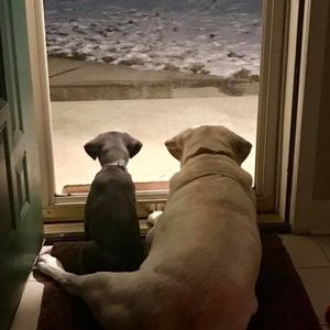 Meet your Posher, Maureen